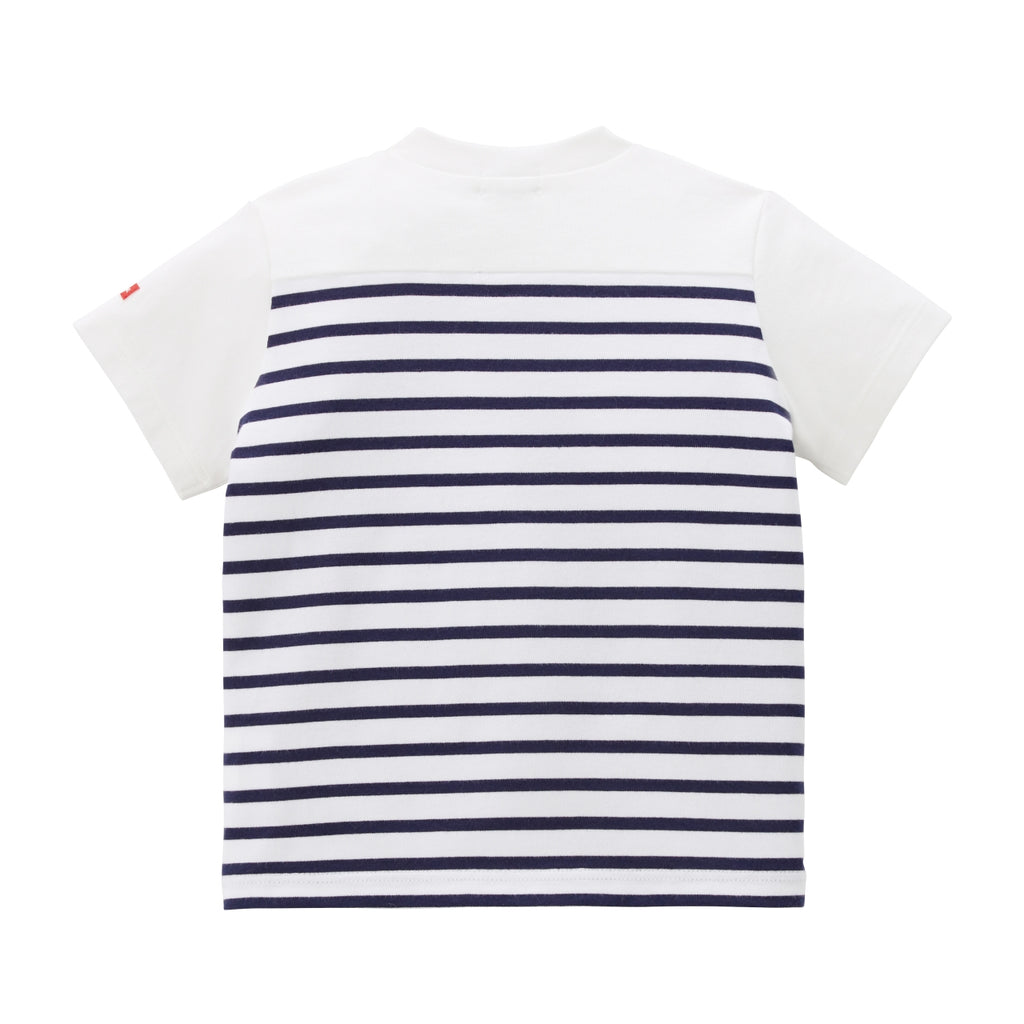 SHORT SLEEVE COTTON T-SHIRT WITH BLUE AND WHITE STRIPED